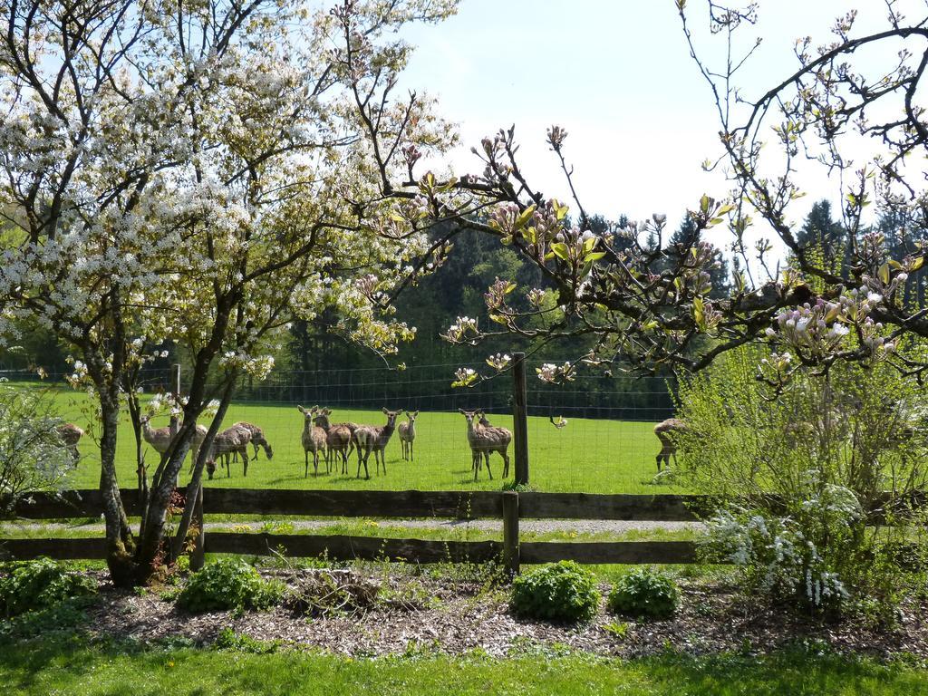 Appartamento Giglerhof Bad Birnbach Esterno foto