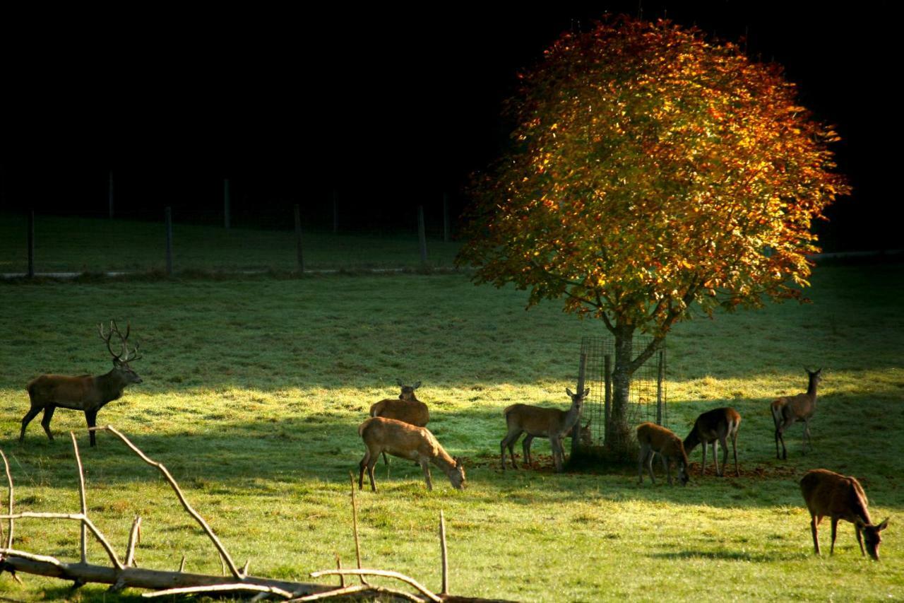 Appartamento Giglerhof Bad Birnbach Esterno foto